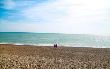 Beech