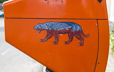 Cat Sticker