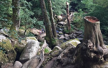 Boulder dash