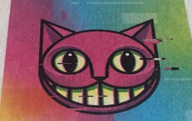 Cat Illustration