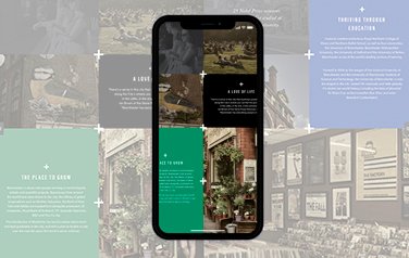 Website Design