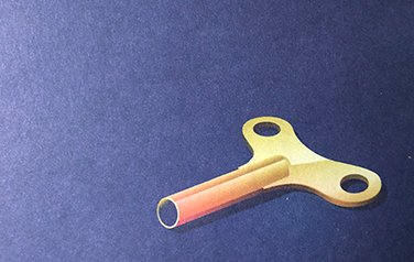 Illustrated key