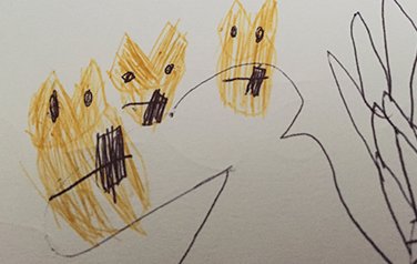 G's sketch